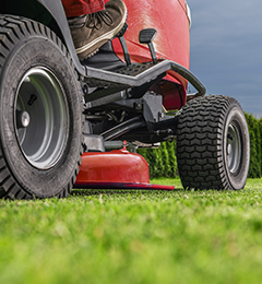 Lawn & Garden
